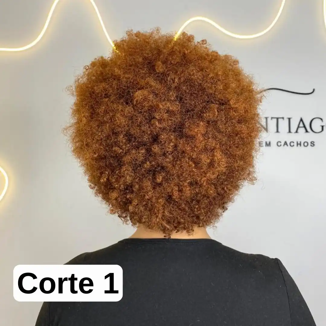 corte_1