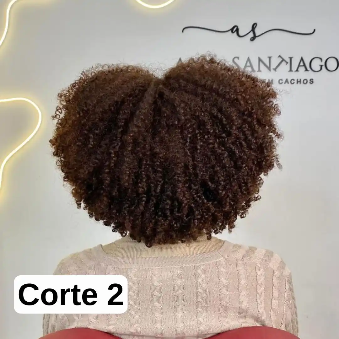 corte_2
